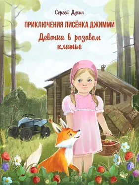 Сергей Духин Приключения лисёнка Джимми. Девочка в розовом платье обложка книги