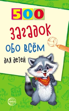 Александр Волобуев 500 загадок обо всём для детей обложка книги