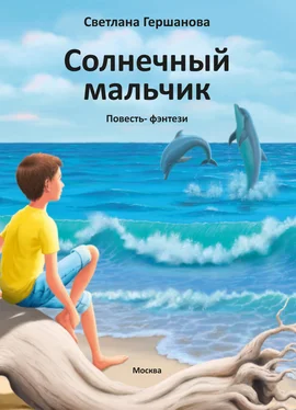 Светлана Гершанова Солнечный мальчик обложка книги