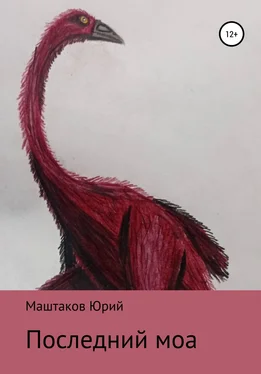 Юрий Маштаков Последний моа обложка книги