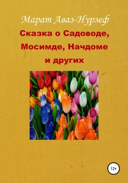 Марат Аваз-Нурзеф Сказка о Садоводе, Мосимде, Начдоме и других обложка книги