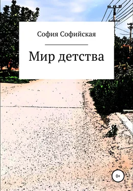 София Софийская Мир Детства обложка книги