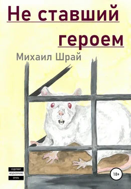 Михаил Шрай Не ставший героем обложка книги