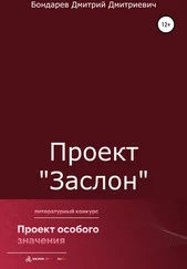 Дмитрий Бондарев - Проект «Заслон»
