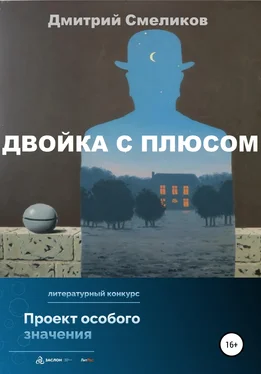 Дмитрий Смеликов Двойка с плюсом обложка книги