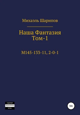 Михаэль Шарипов Наша фантазия. Том I обложка книги