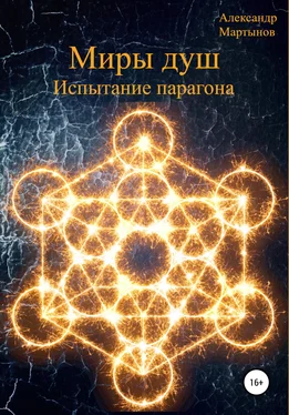 Александр Мартынов Миры душ. Испытание парагона обложка книги