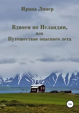 Ирина Линер Вдвоем по Исландии, или Путешествие опасного лета обложка книги