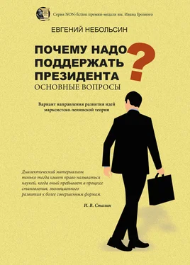 Евгений Небольсин Почему надо поддержать президента? Основные вопросы обложка книги