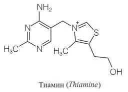 Интересно что богатые и поэтому лучше дороже питавшиеся жители ЮгоВосточной - фото 26