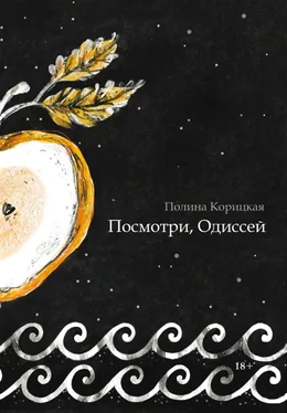 Полина Корицкая Посмотри, Одиссей обложка книги