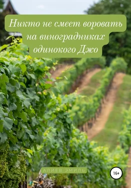 Эмиль Алиев Никто не смеет воровать на виноградниках одинокого Джо
