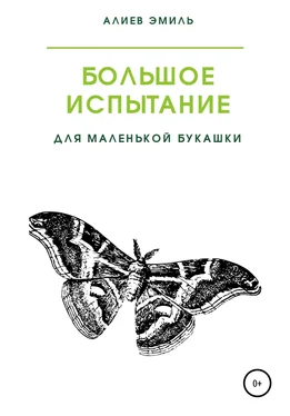 Эмиль Алиев Большое испытание для маленькой букашки обложка книги