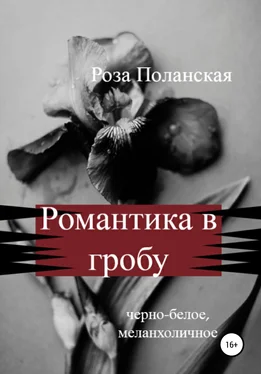 Роза Поланская Романтика в гробу обложка книги