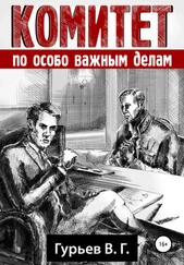 Владимир Гурьев - Комитет по особо важным делам