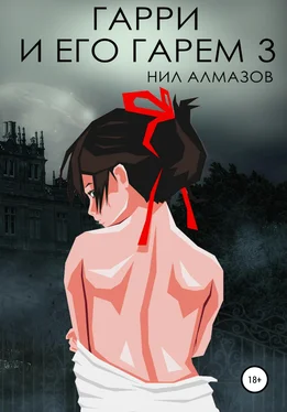 Нил Алмазов Гарри и его гарем – 3 обложка книги