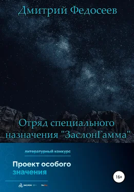 Дмитрий Федосеев Отряд специального назначения «ЗаслонГамма» обложка книги