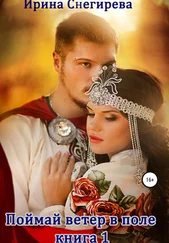 Ирина Снегирева - Поймай ветер в поле. Книга 1