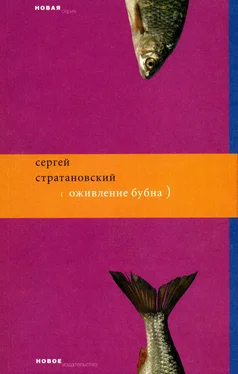 Сергей Стратановский Оживление бубна обложка книги