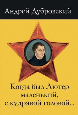 Андрей Дубровский Когда был Лютер маленький, с кудрявой головой… обложка книги