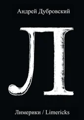 Андрей Дубровский - Лимерики