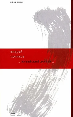 Андрей Поляков Китайский десант обложка книги