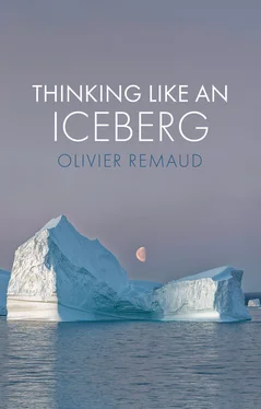 Olivier Remaud Thinking Like an Iceberg обложка книги