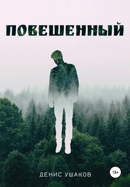Денис Ушаков Повешенный обложка книги
