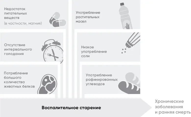 Рис 11 Причины воспалительного старения Старение это медленное накопление - фото 3