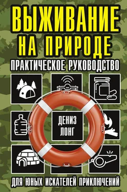 Дениз Лонг Выживание на природе. Практическое руководство для юных искателей приключений обложка книги