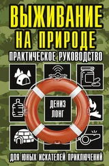 Дениз Лонг - Выживание на природе. Практическое руководство для юных искателей приключений