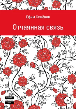 Ефим Семёнов Отчаянная связь обложка книги