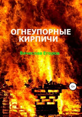 Вячеслав Егоров Огнеупорные кирпичи обложка книги