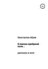 Константин Абаев - В поисках серебряной пыли…