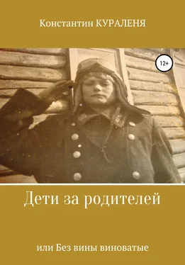 Константин Кураленя Дети за родителей, или Без вины виноватые обложка книги