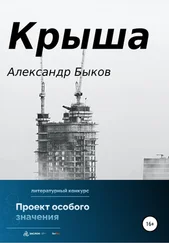 Александр Быков - Крыша