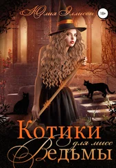 Юлия Эллисон - Котики для мисс Ведьмы