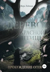 Вера Лейман - Дерево красной птицы. Пробуждение огня