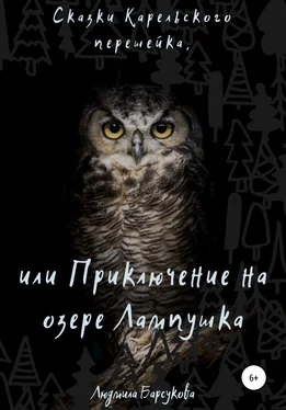 Людмила Барсукова Сказки Карельского перешейка, или Приключение на озере Лампушка обложка книги