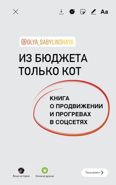 Оля Сабылинская Из бюджета только кот. Книга о продвижении и прогревах в социальных сетях обложка книги