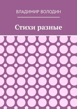 Владимир Володин Стихи разные