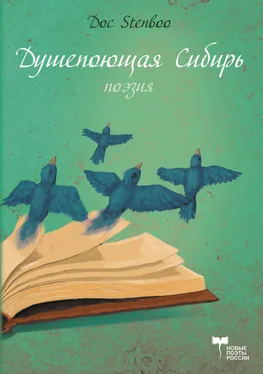 Doc Stenboo Душепоющая Сибирь обложка книги