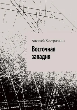 Алексей Костричкин Восточная западня обложка книги