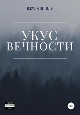 Джули Шпиль Укус вечности обложка книги