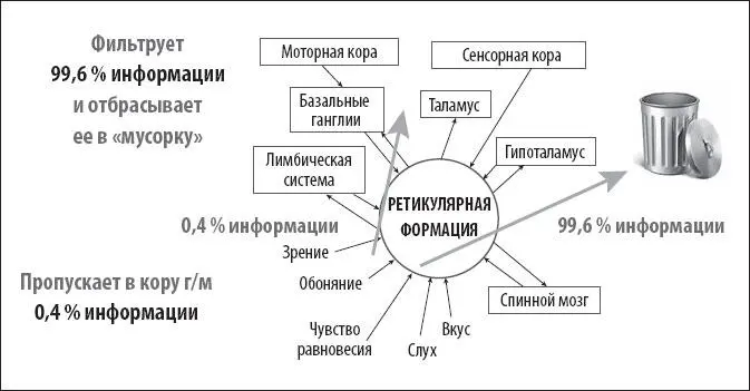 Вот так негативные установки формируют вашу реальность Получается этот человек - фото 9