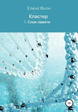 Елена Фили Серия Кластер. 1. Слои памяти обложка книги