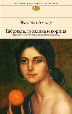 Жоржи Амаду Габриэла, гвоздика и корица обложка книги