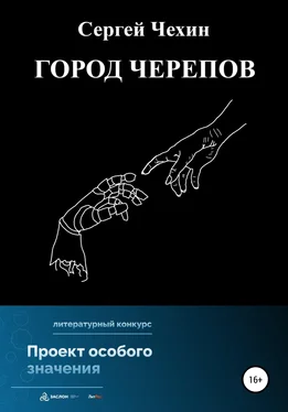 Сергей Чехин Город черепов обложка книги