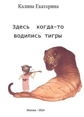 Екатерина Калина Здесь когда-то водились тигры обложка книги