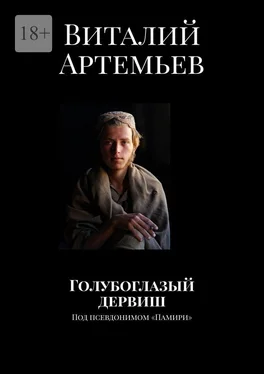 Виталий Артемьев Голубоглазый дервиш. Под псевдонимом «Памири» обложка книги